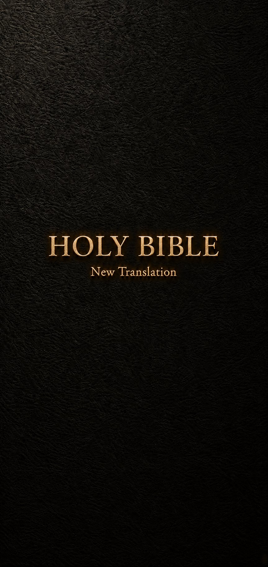 Holy Bible, New Translation, gold lettering on black leather